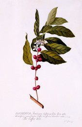 Image 343945140