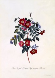 Image 343945169