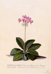 Image 343945183