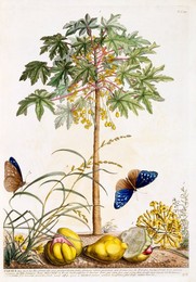 Image 343945191
