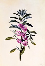 Image 343945944