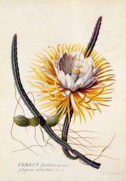 Image 343945946