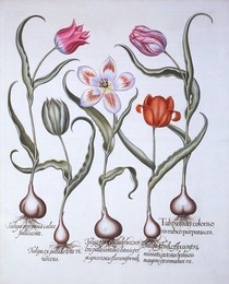 Image 343946909