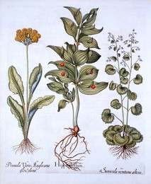 Image 343946916