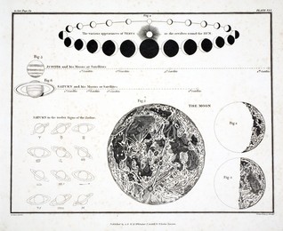 Image 343946946