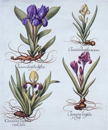 Image 343947403