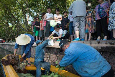 Image 345233971