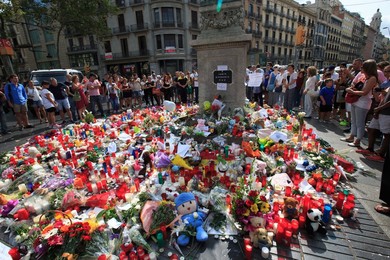 Image 345944525