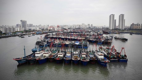Image 346212401