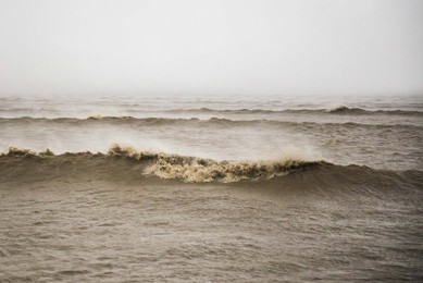 Image 346212411