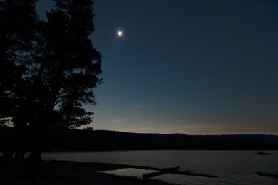 Image 346214549