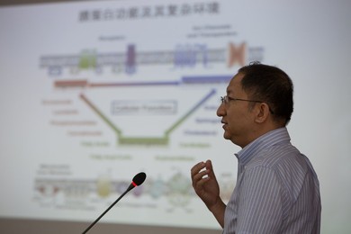 Image 346405168