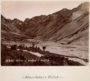 Image 347568988