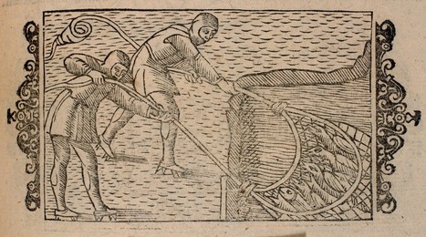 Image 347621551