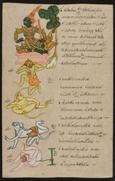 Animals of the zodiac with explanations and illustrations of lucky and unlucky omens.