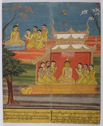 Image 347721891