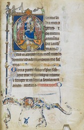 Image 347809638