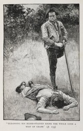Image 347974547