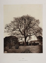 Ash. Chapel house, Kettle.