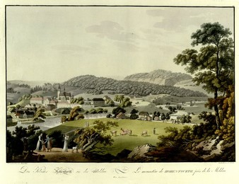 Image 347993097