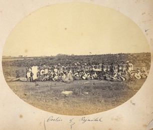 Image 348299887