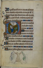 Image 348307640