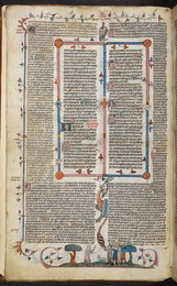 Image 348310278