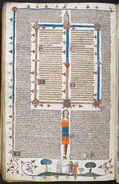 Image 348316789