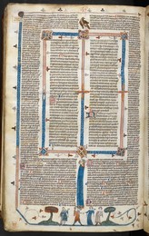 Image 348317088