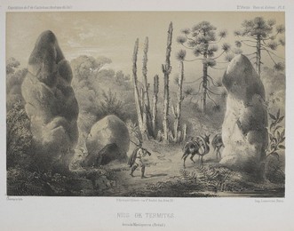 Image 348336269
