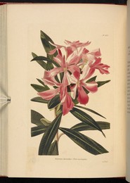 Image 348359379