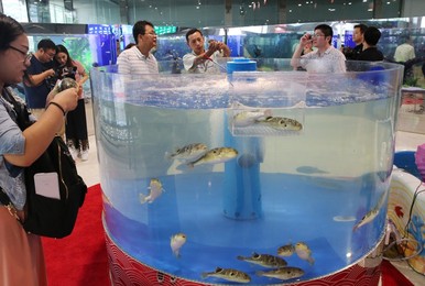 Image 350097526