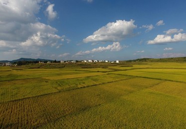 Image 350572793