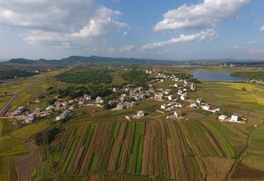 Image 350572795