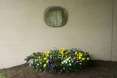 Image 355498910