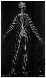 Image 359428797