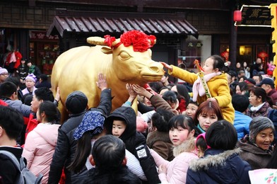 Image 363471568