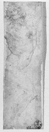 Image 363910533