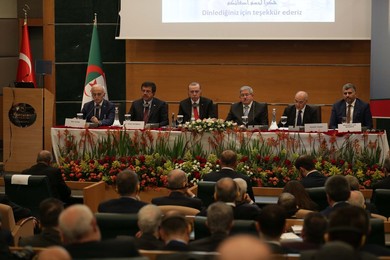 Image 364594466