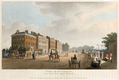 Image 371047311