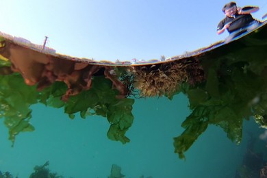 Image 373902546