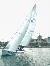 Image 374016516