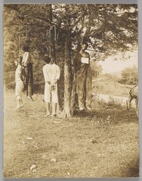 Image 374351029