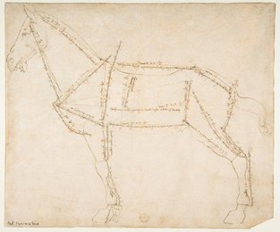 Image 374367712