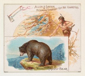 Image 374396385