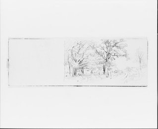 Image 374399352