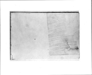 Image 374440204