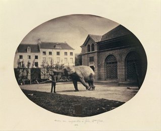 Image 374463650