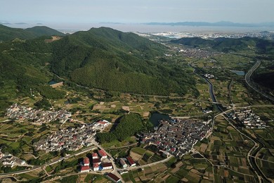 Image 375099348