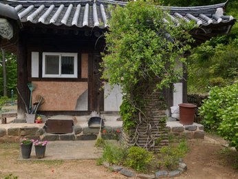 Image 376320378
